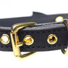 Golden Kitty Cat Bell Collar -Black/Gold - Smoosh