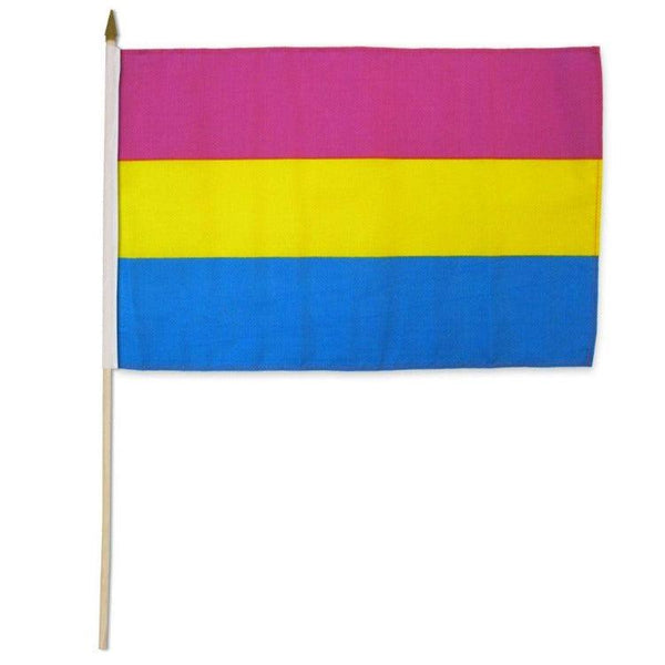 Pansexual 12" x 18" Flag - Smoosh