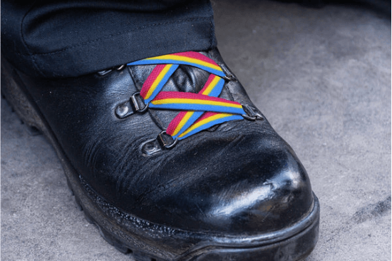 Pansexual Flag Striped Shoe Laces - Smoosh
