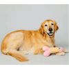Peter Woofington Plush Squeeky Dog Toy - Smoosh