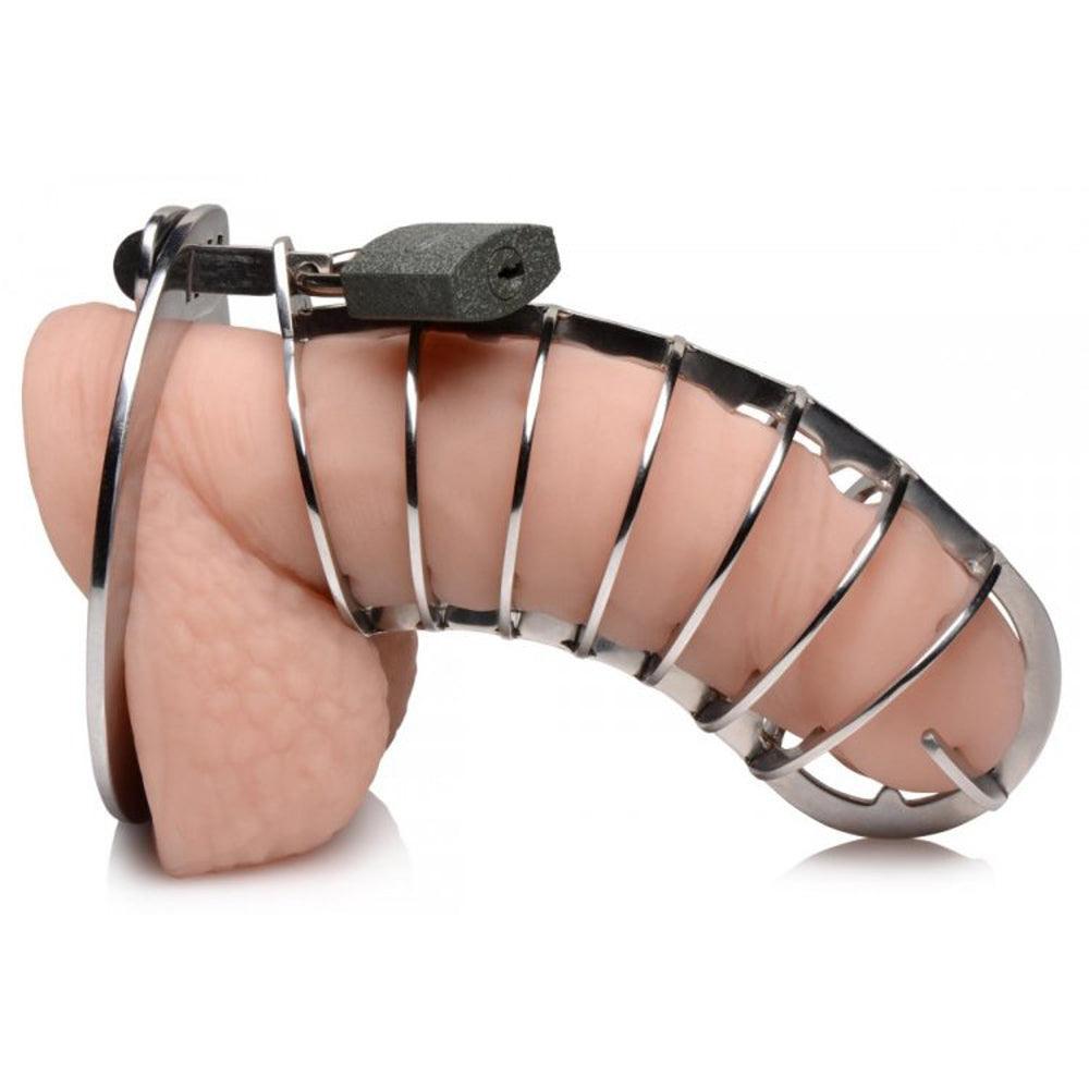 Stainless Spiked Chastity Cage *bulk pkg - Smoosh